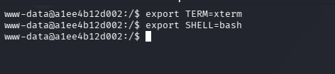 Setting environment variables